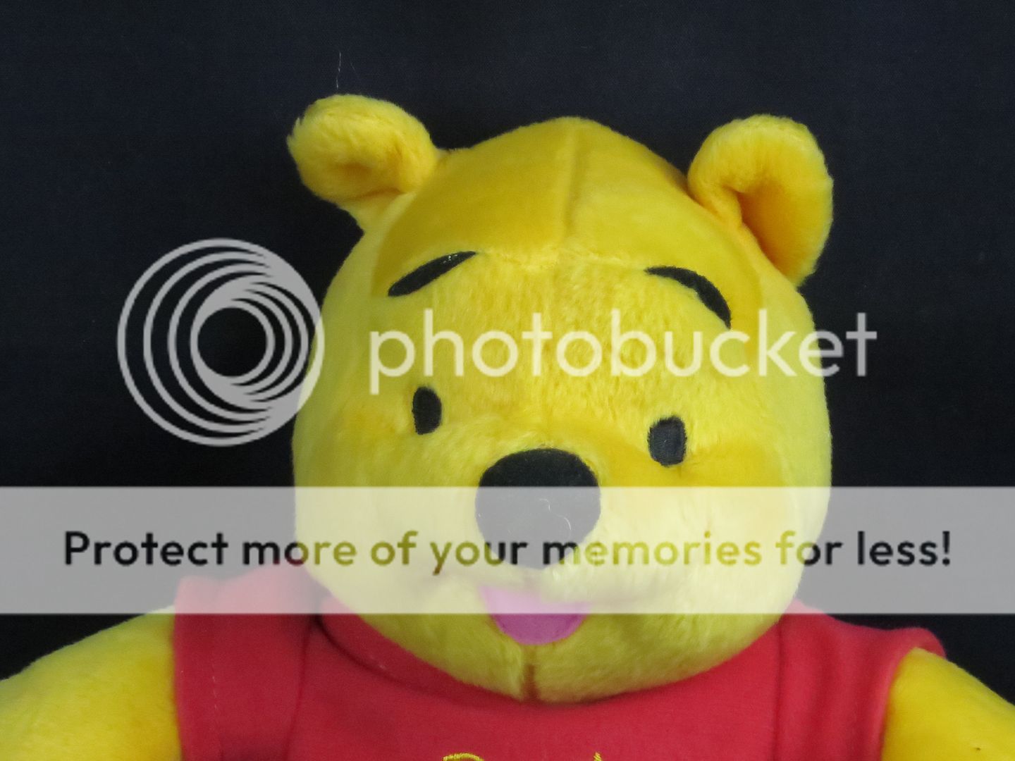 winnie the pooh teddy bear price